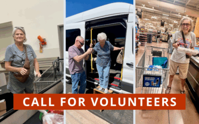 Beat the Heat: Volunteer to Keep Seniors Safe This Summer
