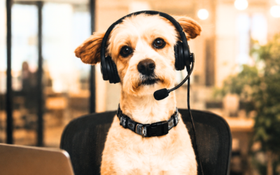 Meet Mando: The Office Dog at Neighbors Who Care